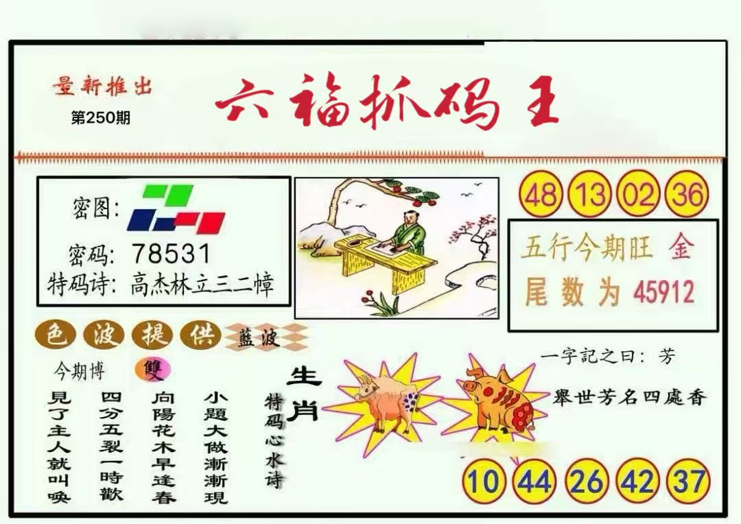 抓码王