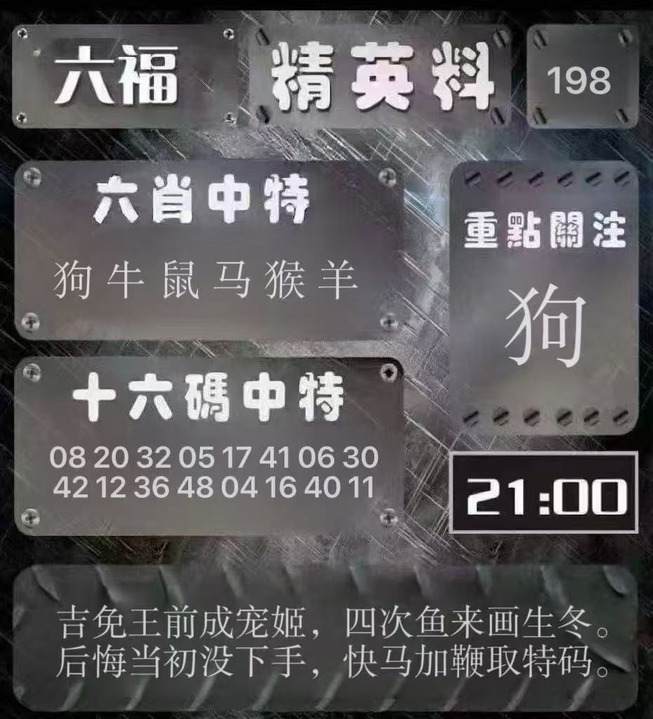 精英料