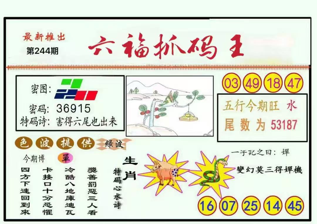 抓码王