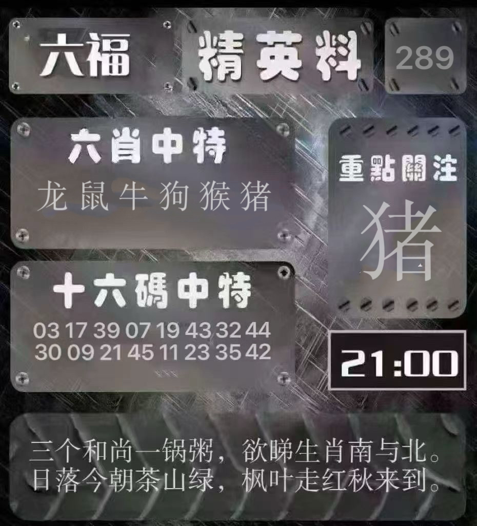 精英料