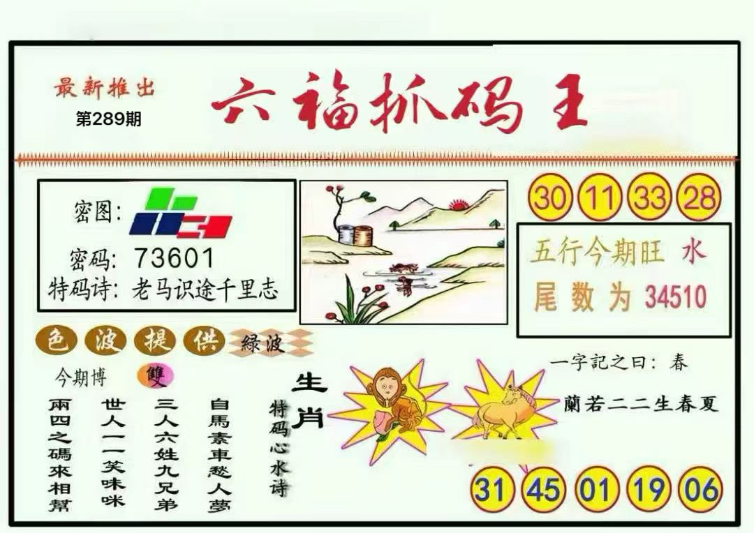 抓码王